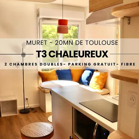 T3 Chaleureux A Muret Extérieur photo